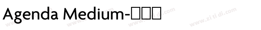 Agenda Medium字体转换